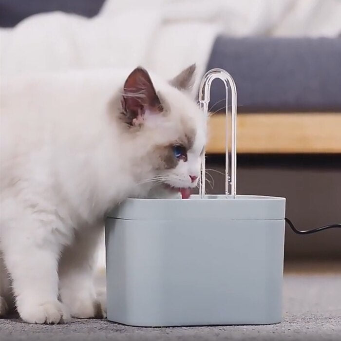 Katten Waterfontein™ | De Ultieme Hydratatie-Oplossing Voor Je Lieve Kat