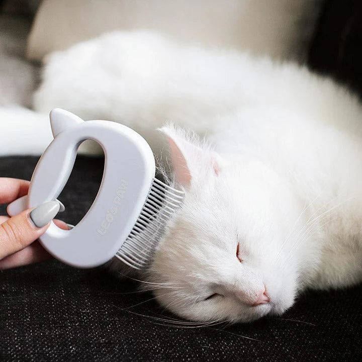 Kattenmassage kam™ | Masseer je kat op de meest zachte manier